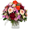 Colorful Wishes Online