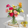 Buy Colour Crush