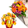 Congratulations full of fruits and fragrances Online