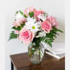 Gift Daisy & Rose Delight
