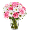 Daisy & Rose Delight Online