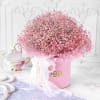 Dreamy Cloud Flower Box Online