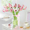 Gift Ethereal in Pink