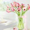 Buy Ethereal in Pink