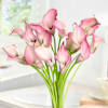Shop Ethereal in Pink