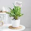 Gift Evergreen Bonds