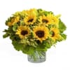 Fabulos Online