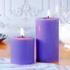 Shop Festive frolic and lavender lights