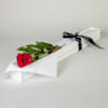 First Red Rose Online