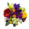 Fixed Flower Bouge Online