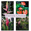 Florists Choice Online
