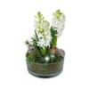 Fragrance of the atmosphere, white Online