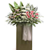 Funeral Arrangement Online