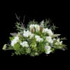 Funeral - Pure lush Online