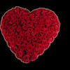 Funeral - Red roses heart - Warmly Online