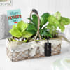 Garden Grandeur Hamper For Dad Online