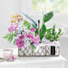 Gift Garden of New Beginnings