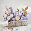Garden of Serenity Online
