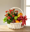 Gardens Paradise Basket Online