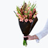 Gladioli large 240412 Online
