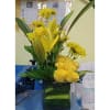 Go Live Boquet 2 Online