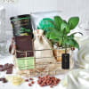 Gourmet Treats Hamper Online