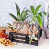 Green & Hearty Hamper Online