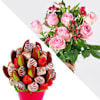 Harmony of the Senses Online