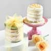 Shop Healthy Bliss Hamper