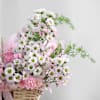 Shop Her Santini Garden