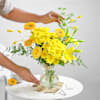 Gift Honeydrop Petals