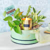 Gift Hues of Green Hamper for Dad