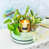 Hues of Green Hamper for Dad Online