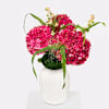 Hydrangea Delight Online
