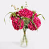 Hydrangea Delight Online