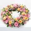 In all Quietness Online