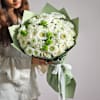 Ivory Dreams Online