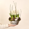 Jardin d'hiver Online