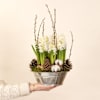 Jardin d'hiver Online