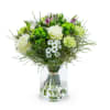 JOYFUL MOMENTS Online