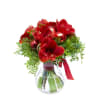 Joyous Christmas season Online