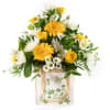 Lemon Drops Online