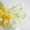 Shop Lemon Tart Blooms