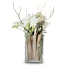 Lifestyle (orchid in a vase) Online