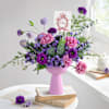Buy Little One in Lilac