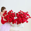 Gift Love Majesty - 250 Roses