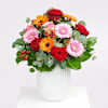 Lovely Greetings Online