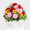Lovely Greetings Online