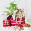 Luck and Love Plant set of 2 Rakhis Gift Hamper Online