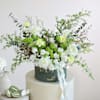 Meadow in a Box Online